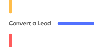 Convert a Lead